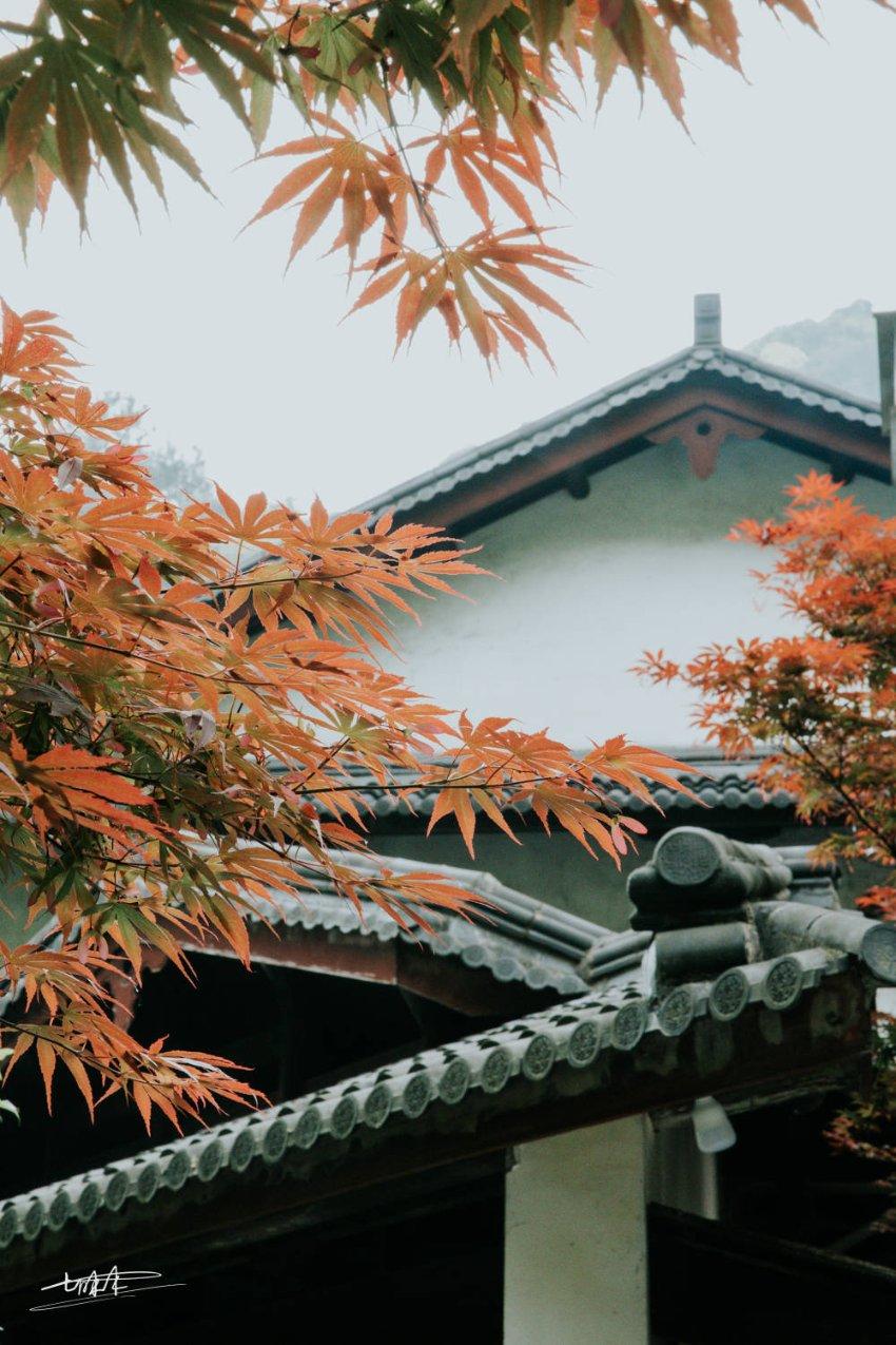 崩溃大陆